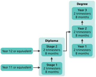 Pathway Flowchart