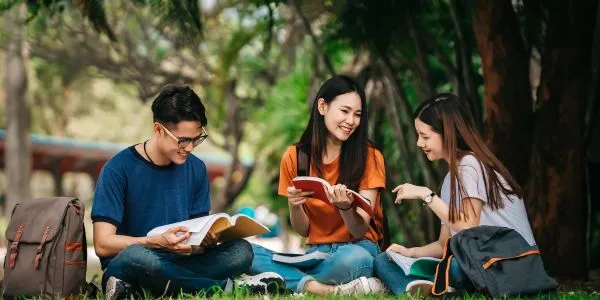 Diploma courses